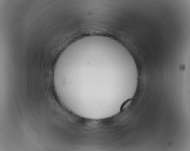 X0000113130079200909040944