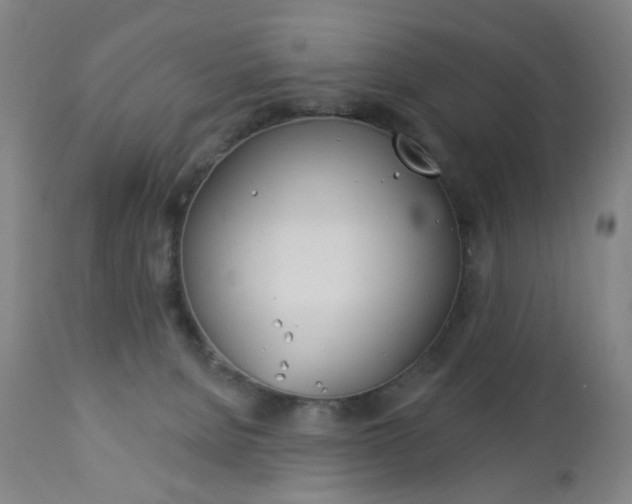X0000113130080200909040944