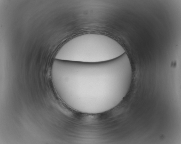 X0000113130081200909040944