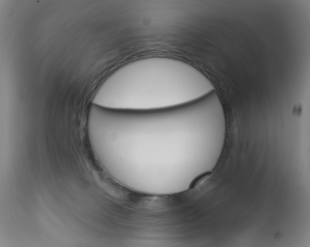 X0000113130082200909040944