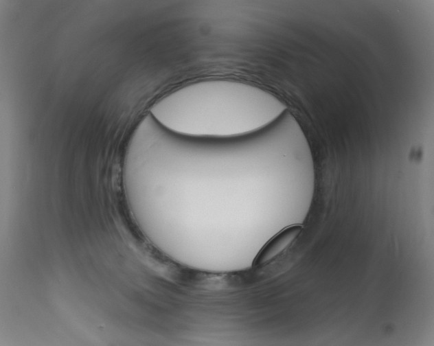 X0000113130083200909040944