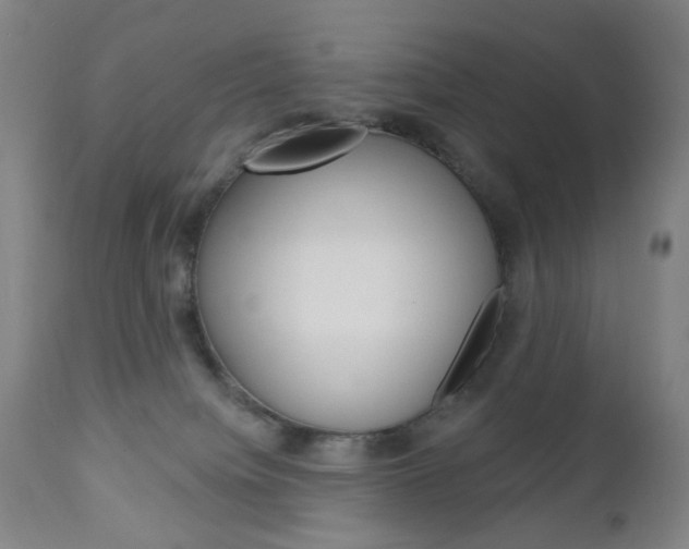 X0000113130084200909040944