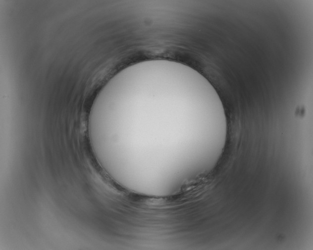 X0000113130085200909040944