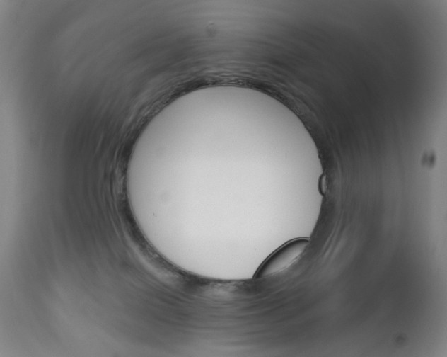 X0000113130086200909040944