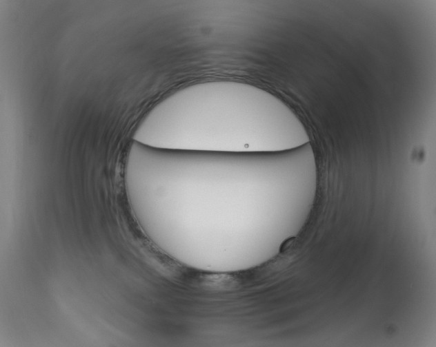 X0000113130087200909040944