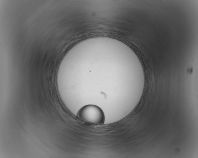 X0000113130088200909040944