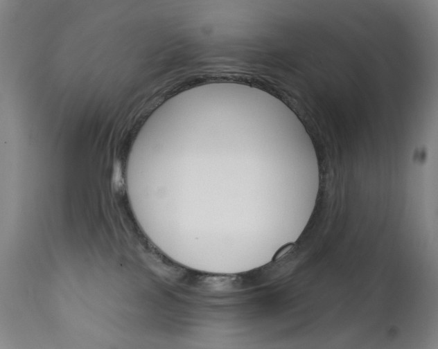 X0000113130089200909040944