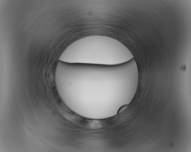 X0000113130091200909040944