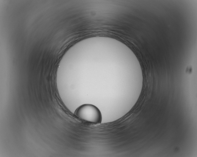 X0000113130092200909040944
