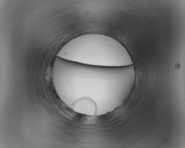 X0000113130093200909040944