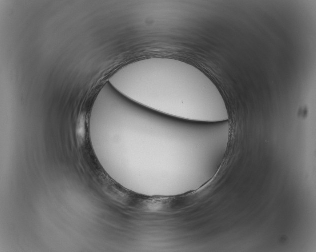 X0000113130094200909040944