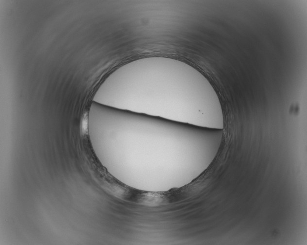 X0000113130095200909040944