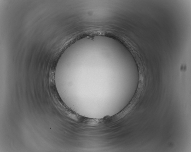 X0000113130096200909040944
