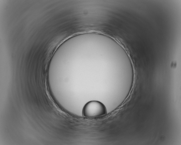 X0000113130097200909040943