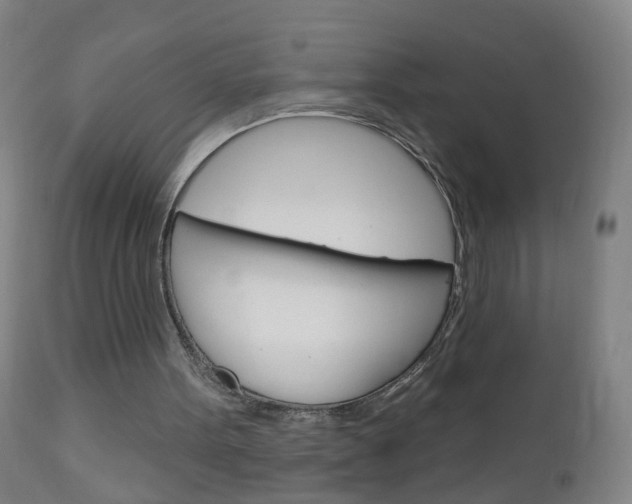 X0000113130099200909040943