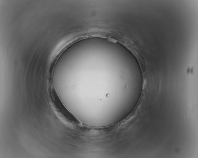 X0000113130101200909040943