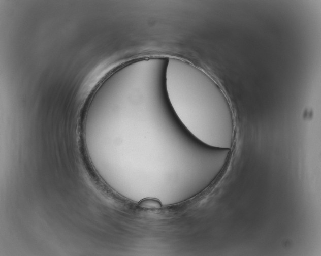X0000113130103200909040943
