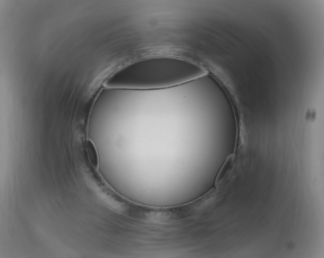 X0000113130105200909040943