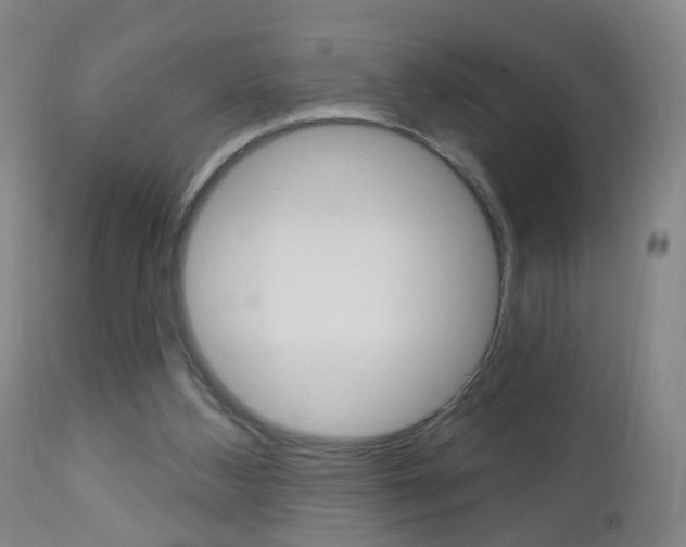 X0000113130108200909040943