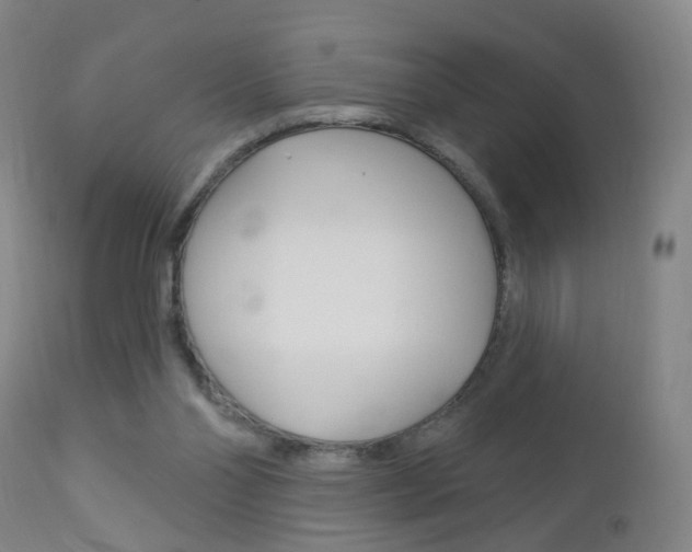X0000113130110200909040943