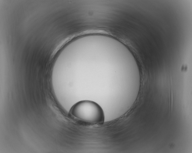 X0000113130112200909040943