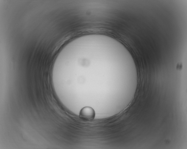 X0000113130120200909040943
