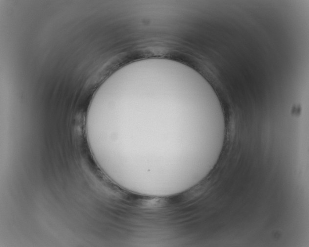 X0000113130122200909040943