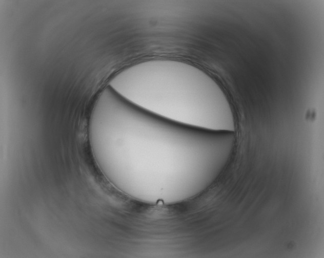 X0000113130123200909040943