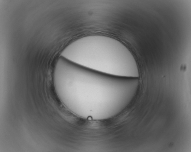 X0000113130127200909040943