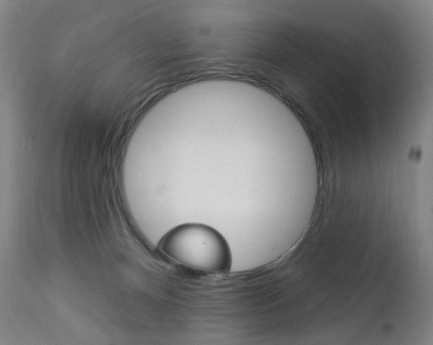 X0000113130128200909040943