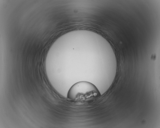 X0000113130129200909040943