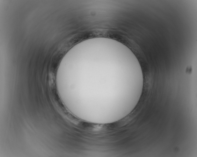 X0000113130130200909040943
