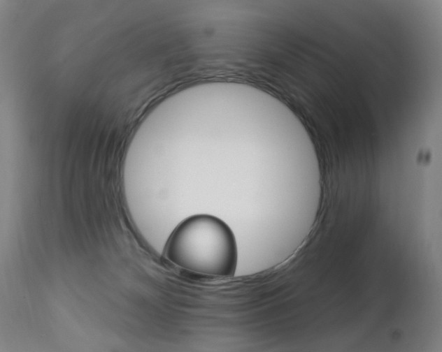 X0000113130132200909040943