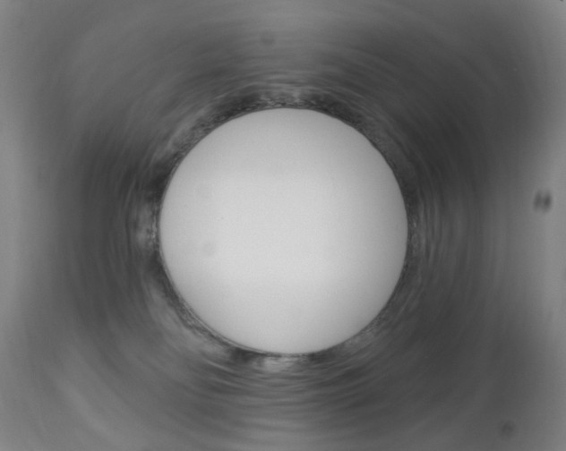 X0000113130134200909040943