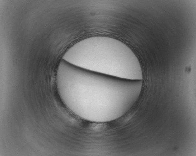 X0000113130135200909040943