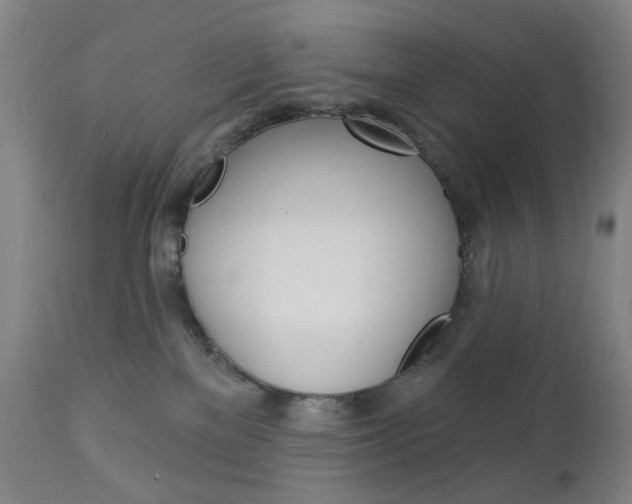 X0000113130137200909040943