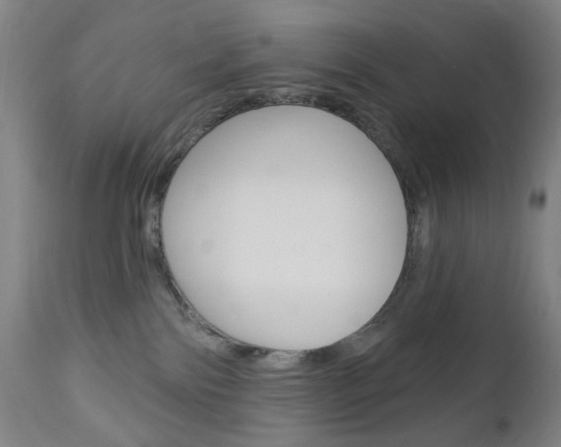 X0000113130138200909040943