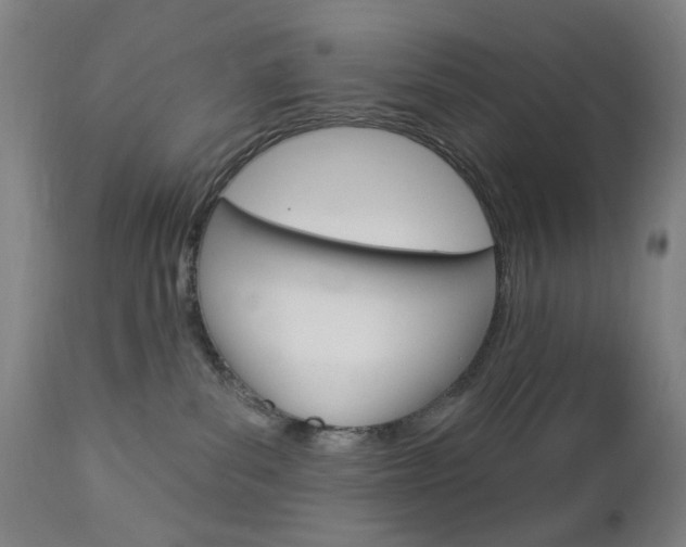 X0000113130139200909040943