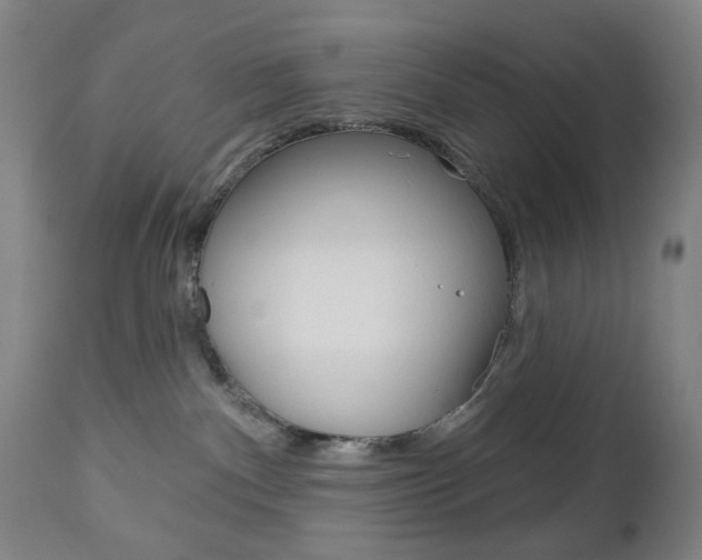 X0000113130140200909040943