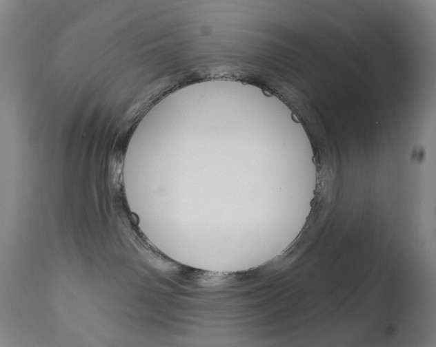 X0000113130142200909040943