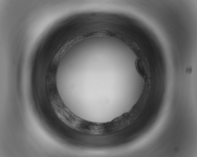 X0000113130143200909040942
