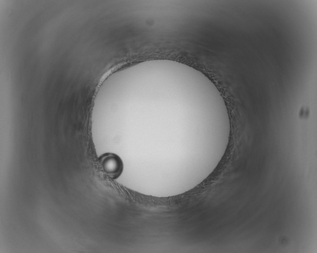 X0000113130144200909040942