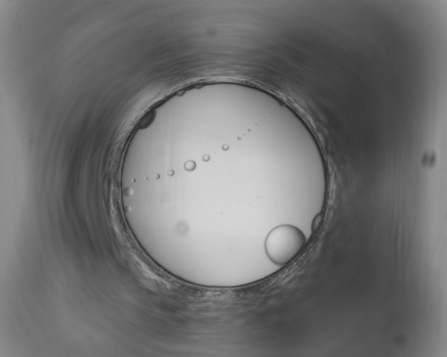 X0000113130145200909040942