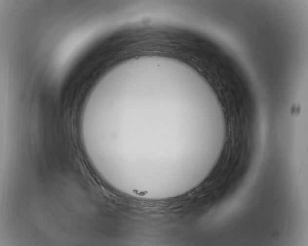 X0000113130146200909040942
