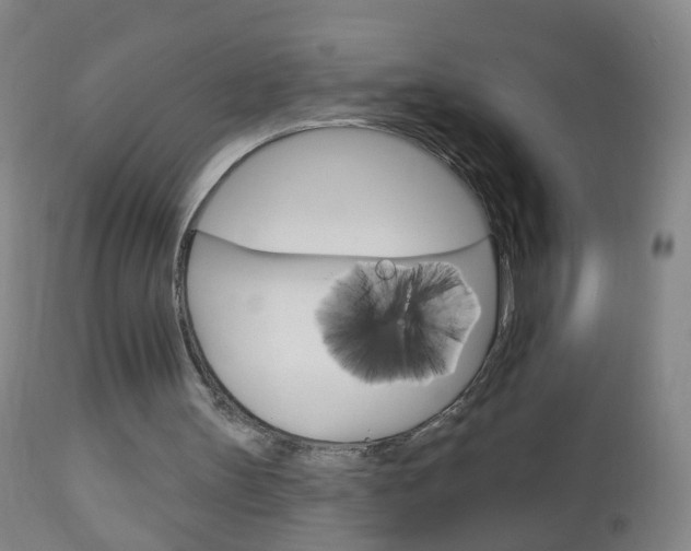 X0000113130147200909040942