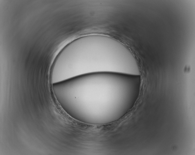 X0000113130148200909040942