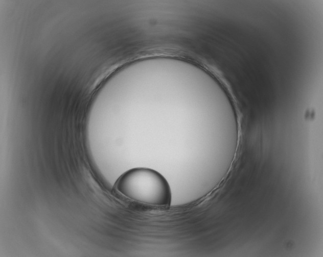 X0000113130154200909040942
