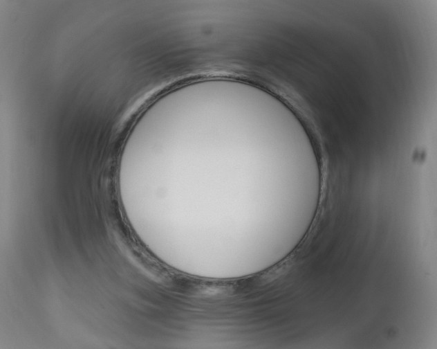 X0000113130155200909040942