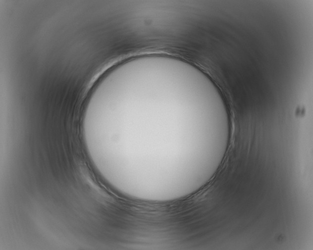 X0000113130156200909040942