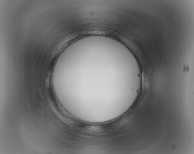 X0000113130157200909040942